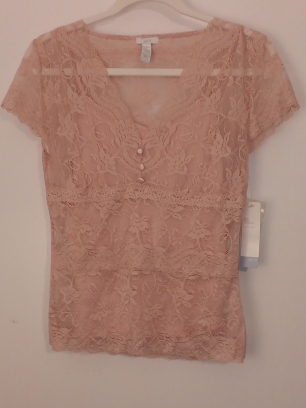Apt. 9 Blush Lace V-Neck Button Front Top
